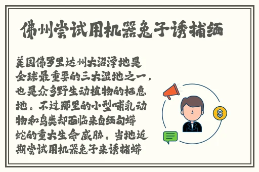 俺也去网站